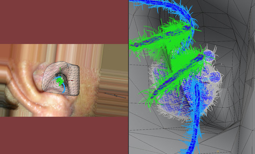 動畫師 CG 蜘蛛太逼真   多間傳媒誤以為真
