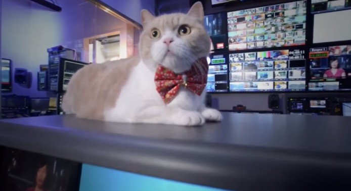 唐言無忌：一邊開工一邊睇片