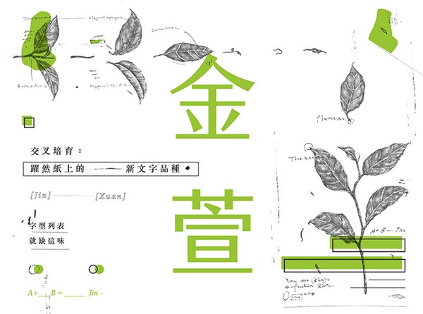 感謝港人再推「香港字」！台灣團隊為新正體中文字型「金萱」集資