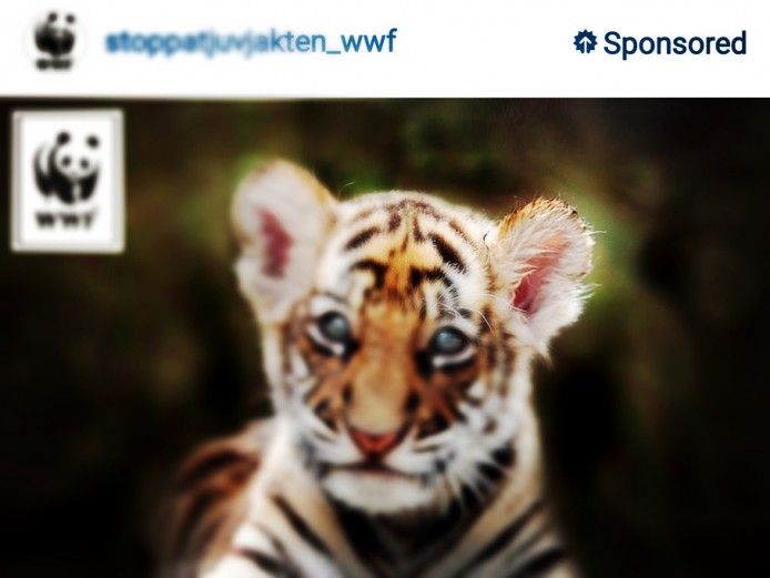 唐言無忌：Instagram 廣告