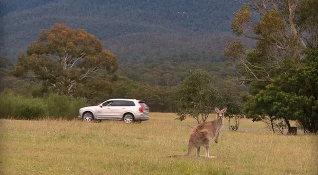 Volvo 新技術保障乘客袋鼠安全