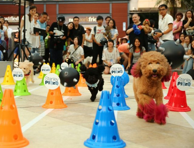 兩個大型的寵物活動  • unwire 週末好去處