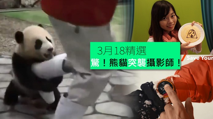 【unwire TV】熊貓突襲攝影師！100米防水智能潛水錶