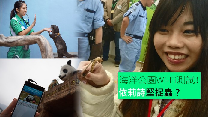 【unwire TV】海洋公園Wi-Fi測試！依莉詩堅捉蟲？
