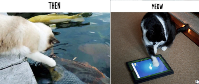 【多圖對照】人類科技發展 貓貓生活有 10 種的改變