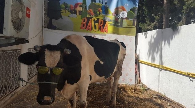 打機有獎！獎品竟然係一隻牛