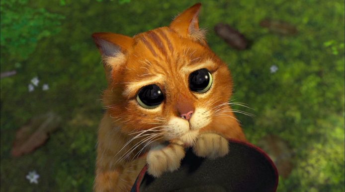 唐言無忌：Sorry 囉！