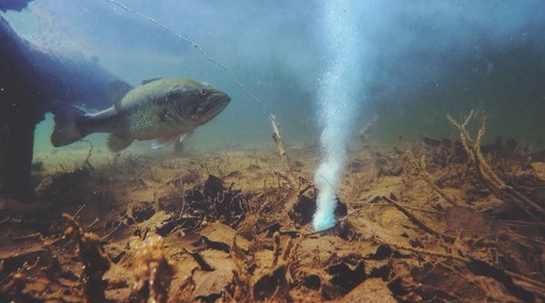 【有片睇】提高釣魚效率！BaitCloud 誘餌球可吸引附近魚類聚集