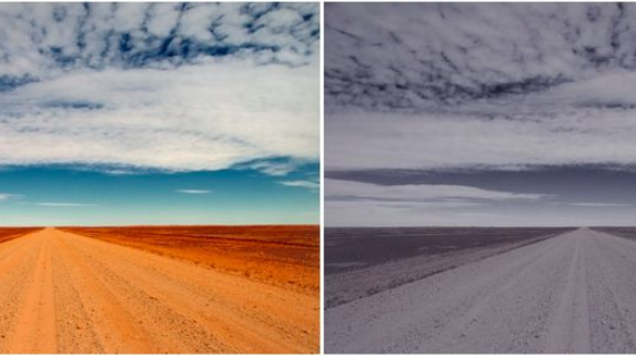 新算法透過 Instagram 照片偵測抑鬱症狀