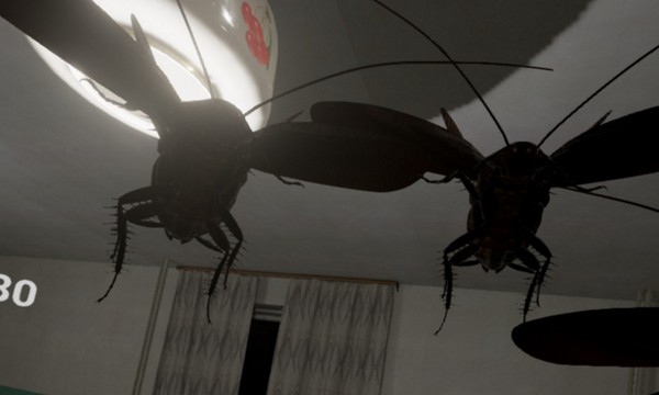 【有片睇】另類恐怖遊戲！《曱甴 VR》小強兜口兜面飛埋嚟