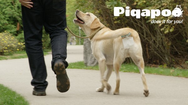 【有片睇】自動「狗屎」打包器 Piqapoo 引來部份狗主不滿