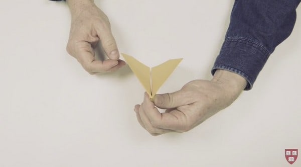 【有片睇】226 呎破世界紀錄！高手教你摺全球飛得最遠紙飛機