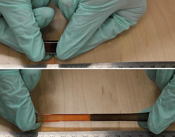 【有片睇】狼人再生能力不再是夢！科學家成功研發自我修復人工肌肉