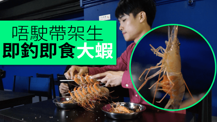 【unwire TV】唔駛帶架生 即釣即食大蝦