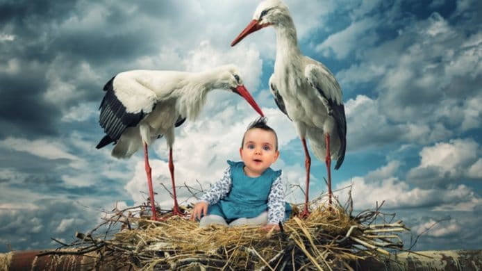 將創意注入攝影作品　免費 3 小時數碼圖像課程