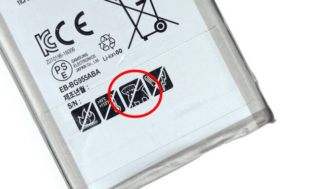 歧視狗隻？狗隻卡通打交叉圖示背後的含意