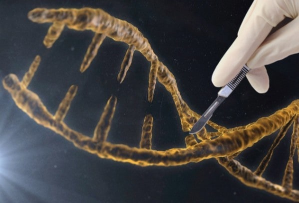 愛滋病新療法！科學家利用 CRISPR 基因編輯技術成功消滅所有 HIV 病毒