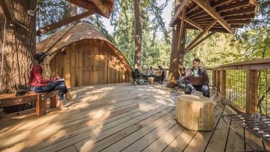 激發員工創意 Microsoft 新辦公地點係樹屋