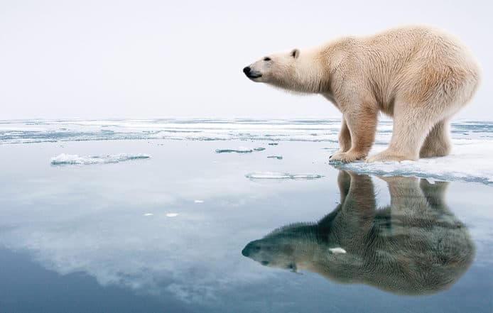 地球正面臨第6次大滅絕　全球科學家警告全人類　