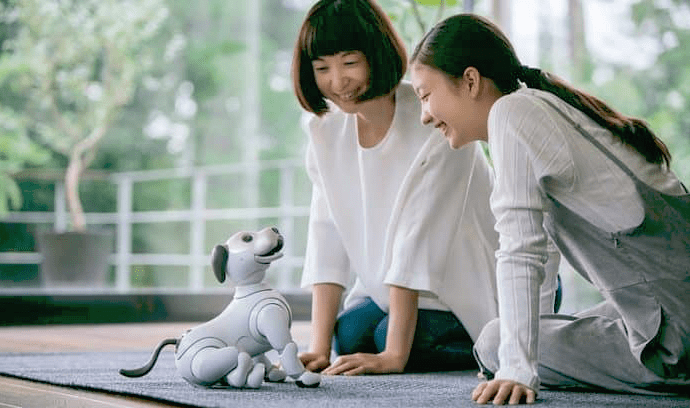 Sony 狗同樣有人搶　全新Aibo每隻1.3萬30分鐘內售完