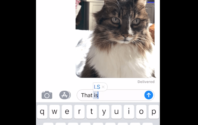 iOS鍵盤自動修正又出錯誤　打 it 變「I.T」、is 變「I.S」