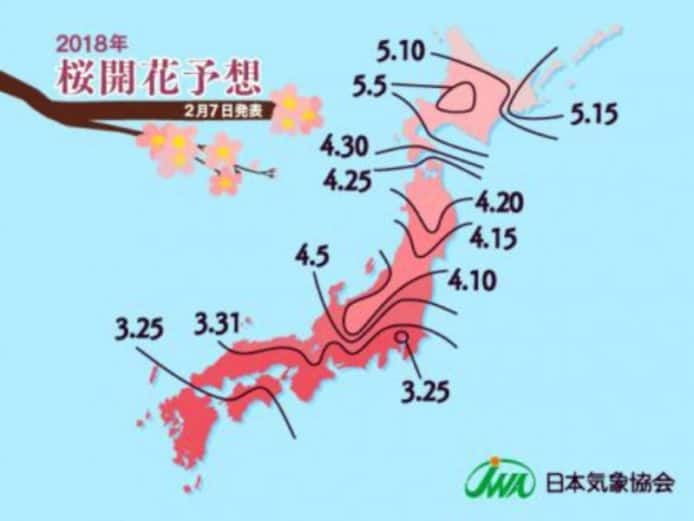 遊日賞櫻必讀！2018 櫻花花期最新預測