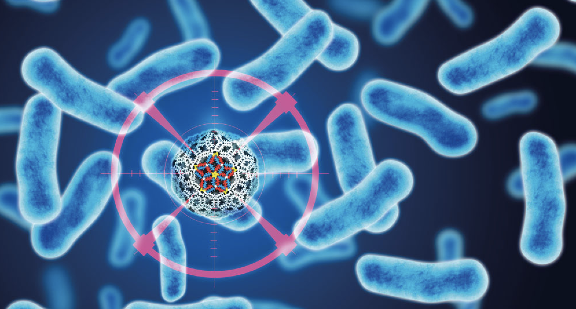 細菌都有得 hack ！新人工病毒創奇蹟