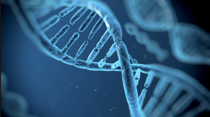 最新研究：500多種基因同智力有關　有這些基因老年較少機會患阿茲海默症