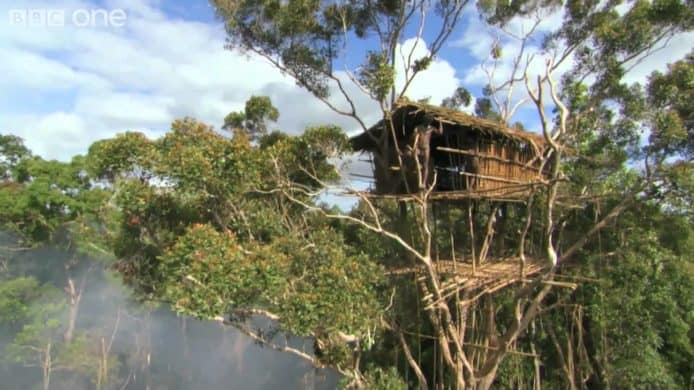 BBC 承認紀錄片《Human Planet》造假