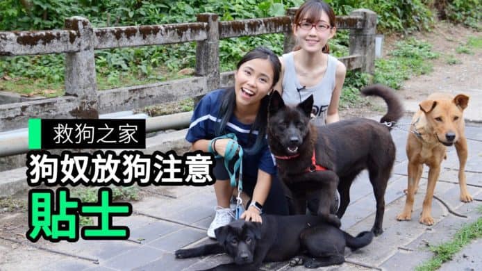 【unwire TV】救狗之家 狗奴放狗注意 貼士