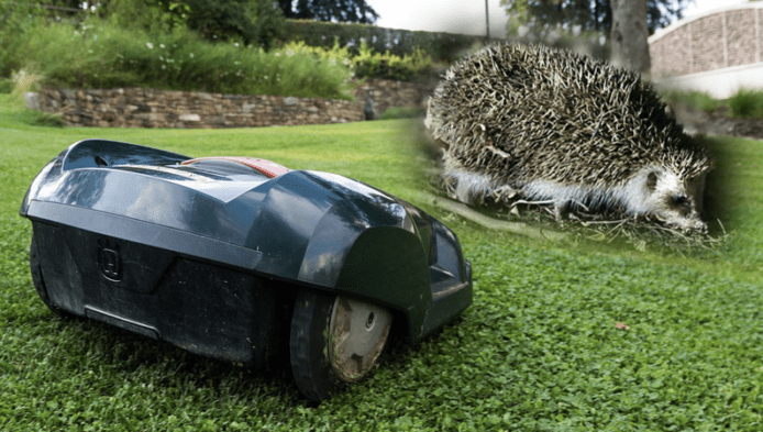 專家指智能割草機械人殺傷力大　小動物易受重傷