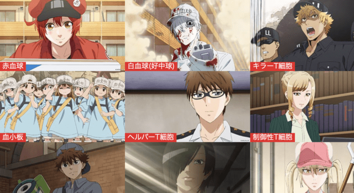 《工作細胞》血小板、紅血球變身教育、醫療教材！擬人化動漫成功一例