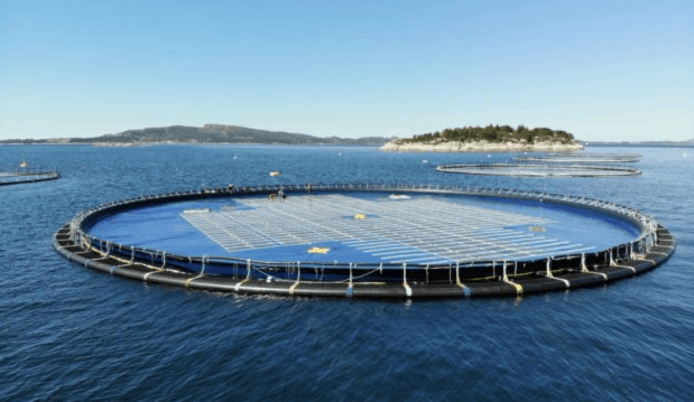 挪威水面太陽能發電外觀似彈床！散熱快維修易