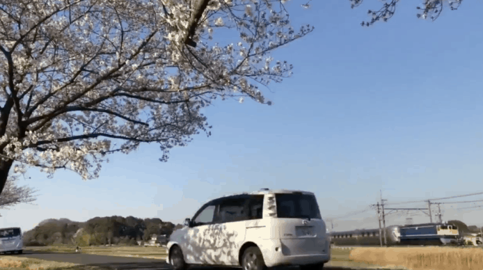 【有片睇】日「鐵膠」指罵過路人惹公憤 　風景摧毀者相片熱傳