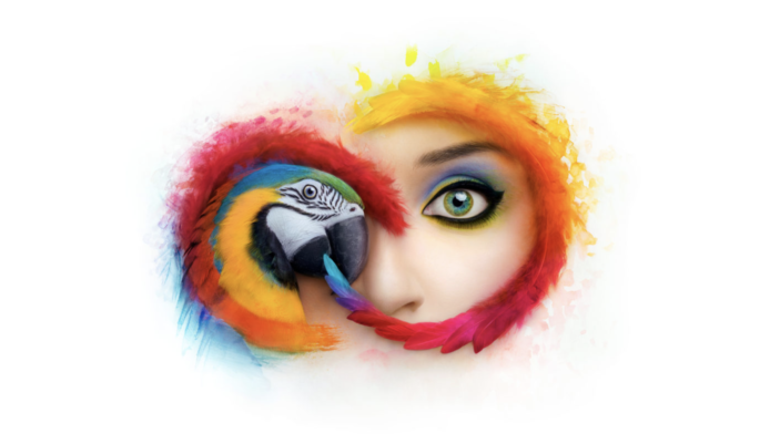 Adobe CC 將只支援最後兩個版本　 印刷業界稱受影響