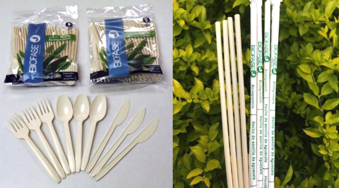 墨西哥公司研發「牛油果核」製餐具　 自然分解只需 240 天