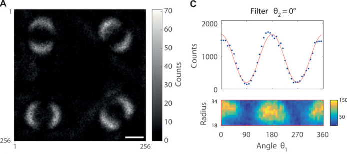 科學家首次拍到量子纏結照片　有助量子電腦研發