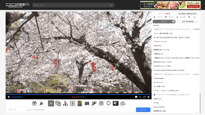 疫情影響無法看櫻花   日本網民改為網上看直播