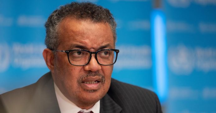 大量網民代表台灣向譚德塞道歉　台灣調查局發現是中國網軍所為