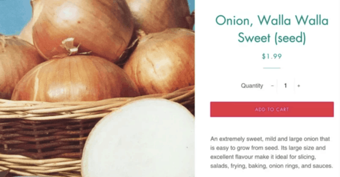 FB 誤判洋蔥相片為色情　官方：AI 人工智能出錯