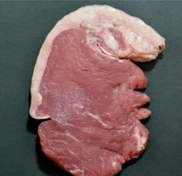 豬扒圖被列選舉資訊   FB人工智能審查爆笑料