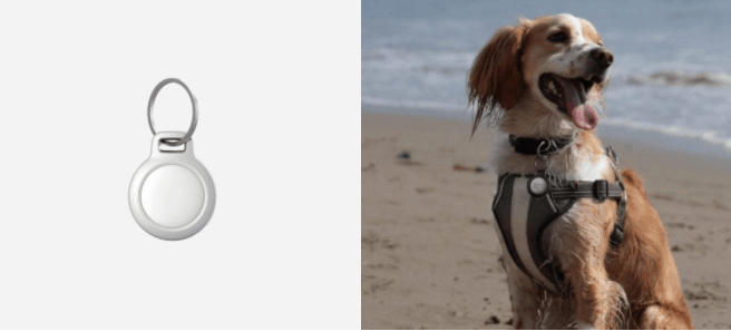 NoMad 推強化版 AirTag 套    可作寵物頸圈+金屬加固+防水防塵