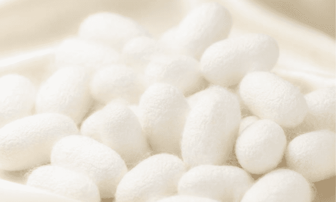 蠶絲可用作食物保鮮用途   減少空氣中氧氣水氣滲入