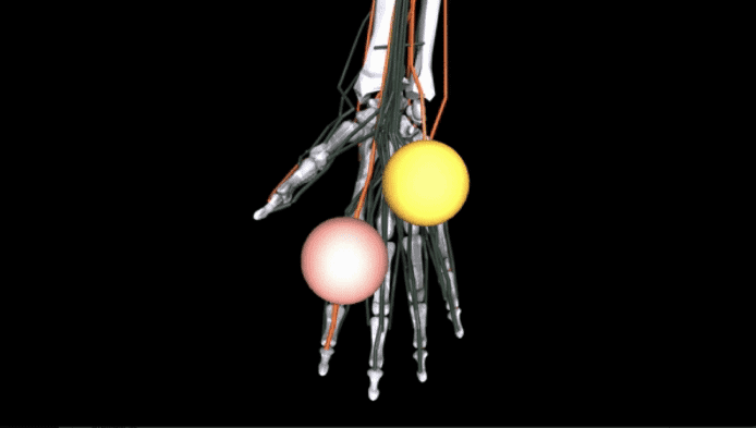 Meta MyoSuite 人工智能平台     助研義肢、康復及手術技術