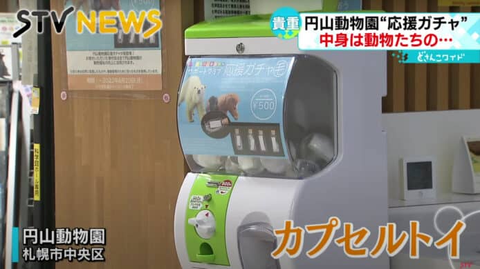 北海道動物園推扭蛋   500 日元可獲稀有動物皮毛