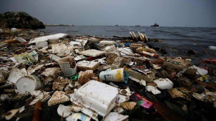 麥皮蟲可解決塑膠問題    腸道酵素分解聚苯乙烯