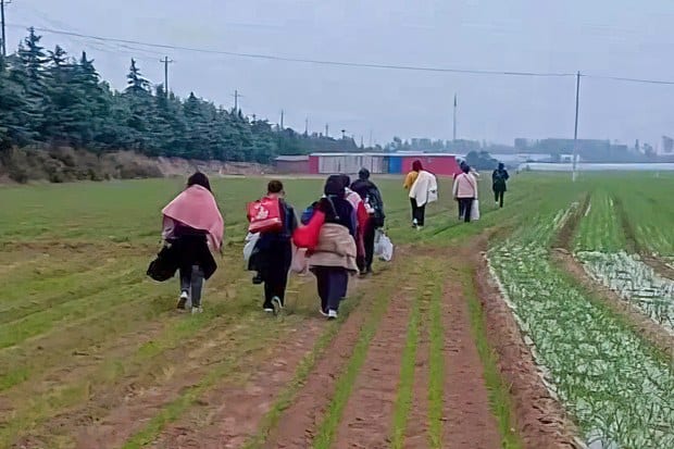 消息：鄭州富士康廿萬員工四散逃離  iPhone 產能或下跌三成