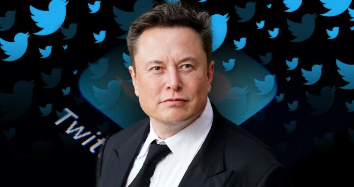 Elon Musk：「一隻小鳥被釋放了」   形容收購 Twitter 後心情