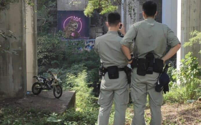 攝影發燒友再有新貓影   大帽山貓屋被封後再現新塗鴉