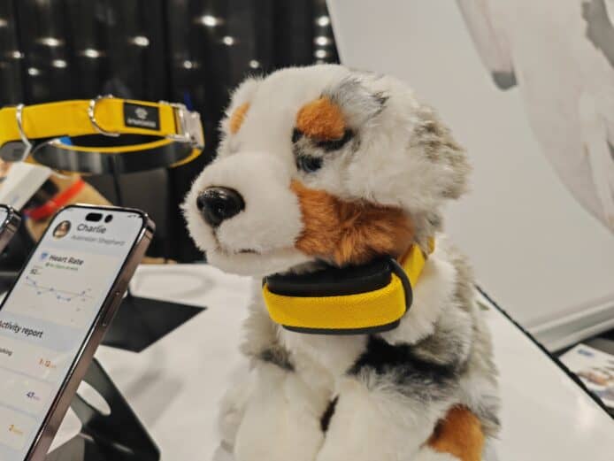 CES 2024 會場中佩戴 invoxia Minitailz 智能項圈的狗狗毛公仔